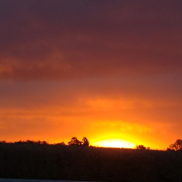 Meet your Posher, Deb - Picture 2 of 3